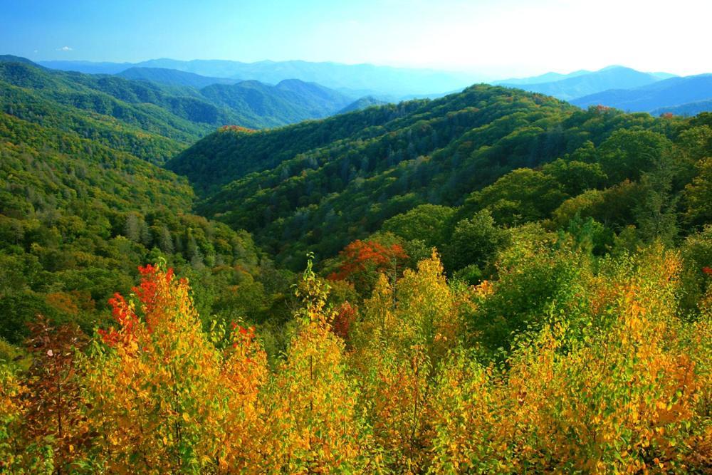 A Charming Cabin, Pool, Firepit, Hot Tub-Jacuzzi Gatlinburg Dış mekan fotoğraf